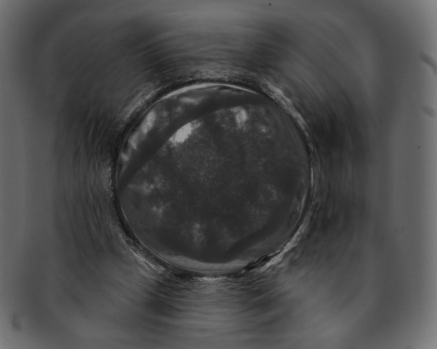 X0000091930249200710031104