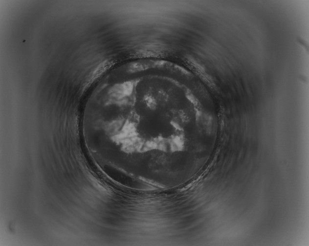 X0000091930250200710031104