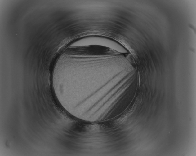 X0000091930253200710031104