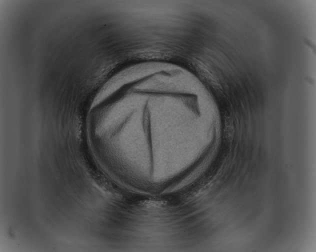 X0000091930255200710031104