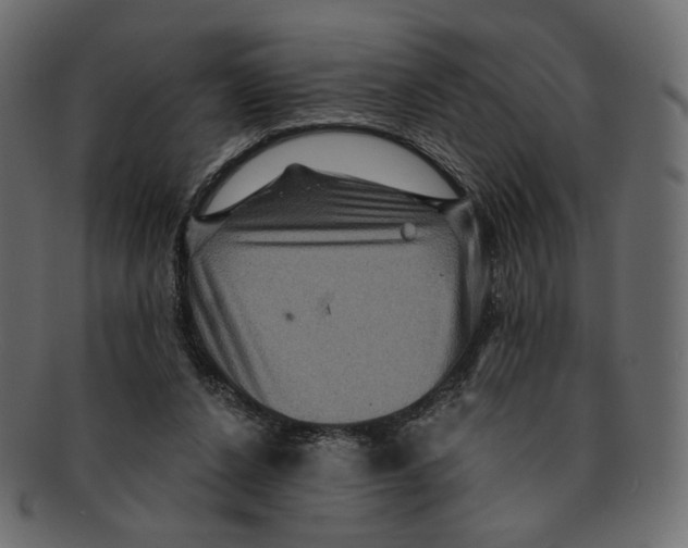 X0000091930256200710031104