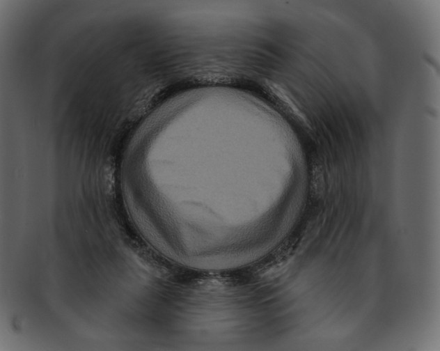 X0000091930259200710031104