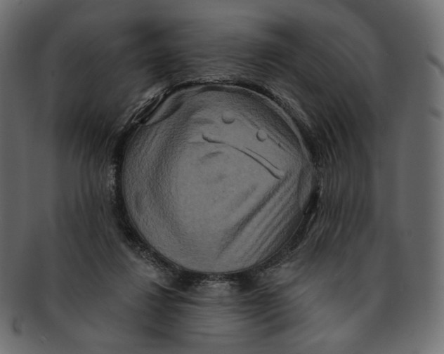 X0000091930260200710031104