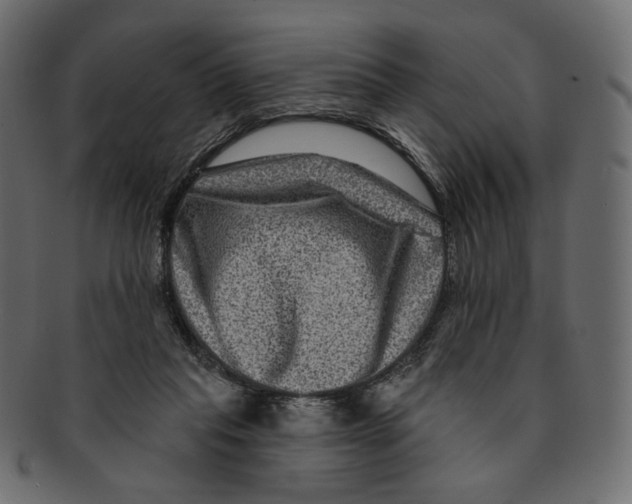 X0000091930261200710031104