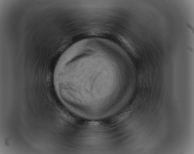 X0000091930265200710031104