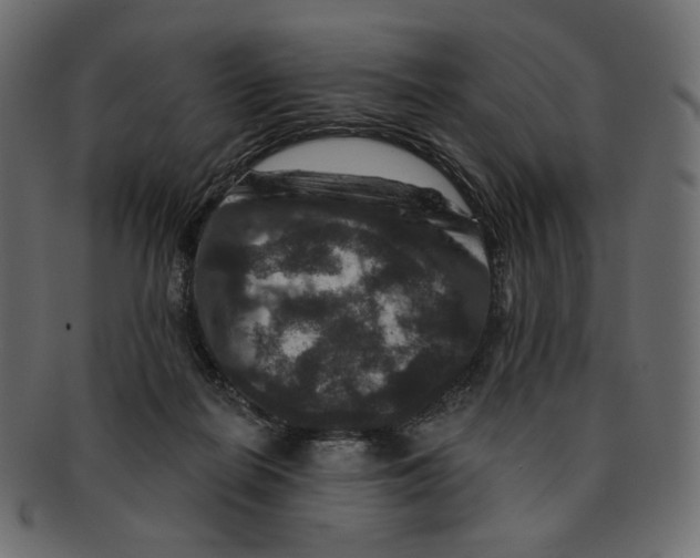 X0000091930266200710031104