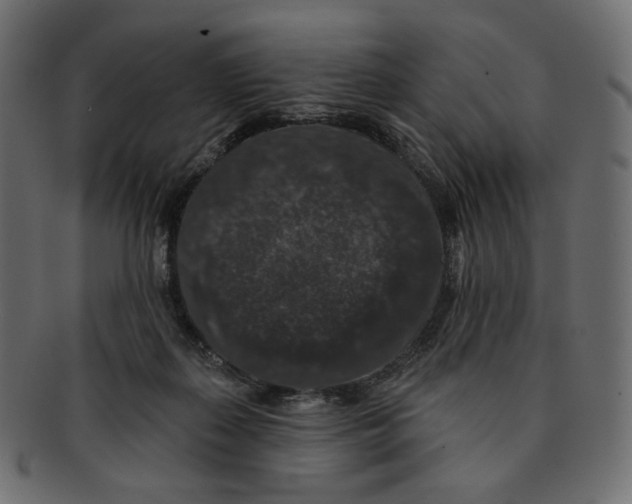 X0000091930267200710031104