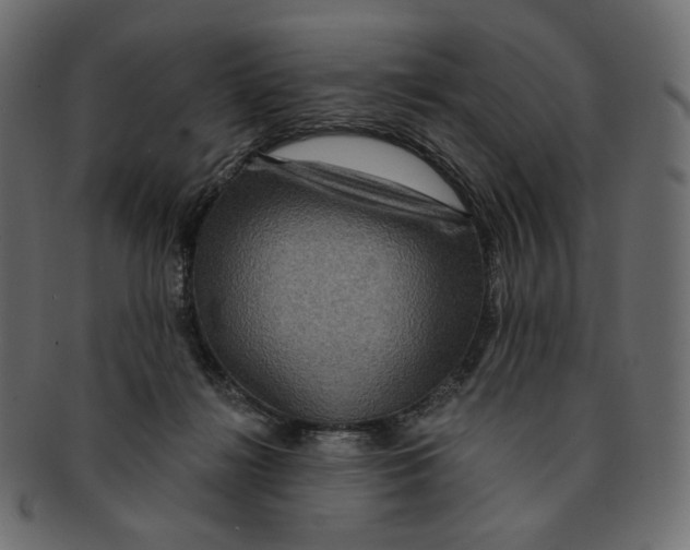 X0000091930268200710031104