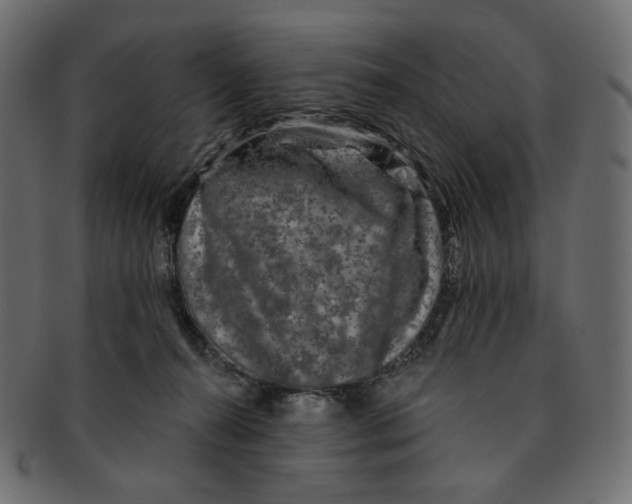 X0000091930272200710031104