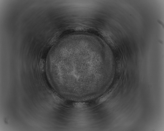 X0000091930273200710031104