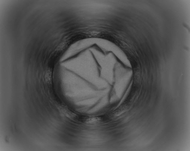 X0000091930274200710031104