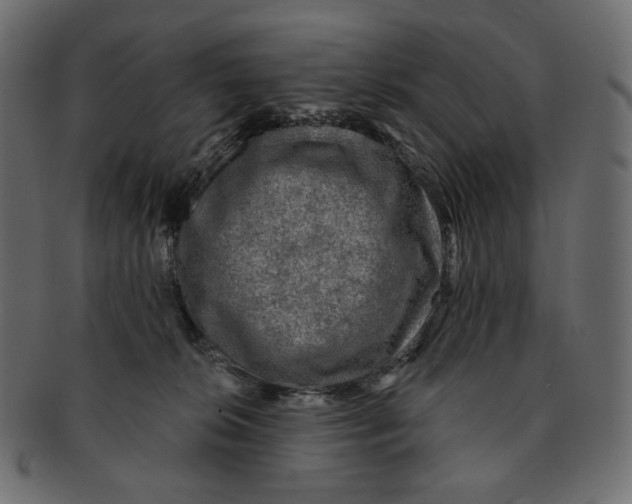 X0000091930276200710031104