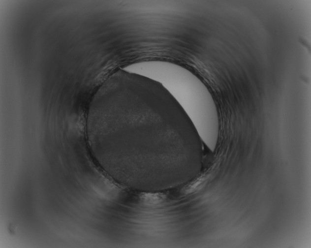 X0000091930277200710031104