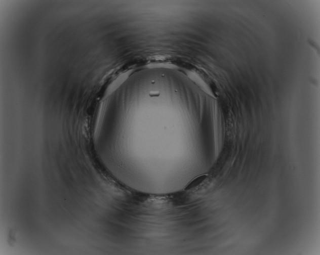 X0000091930280200710031104