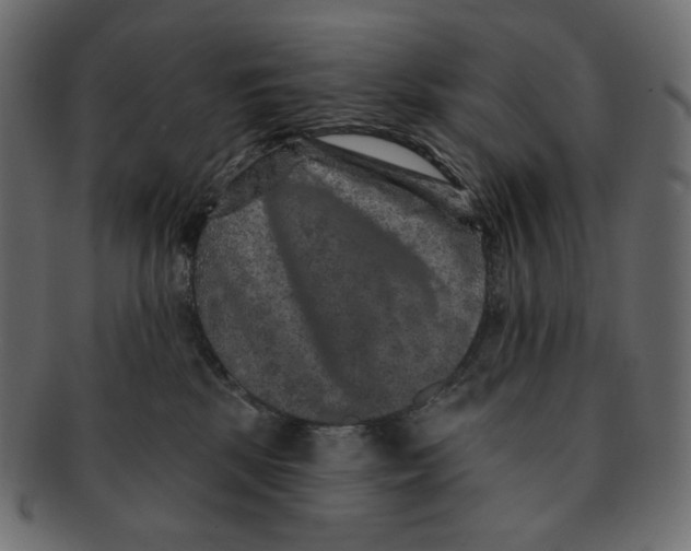 X0000091930281200710031104