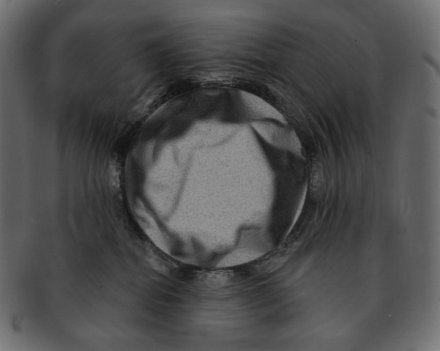 X0000091930282200710031104