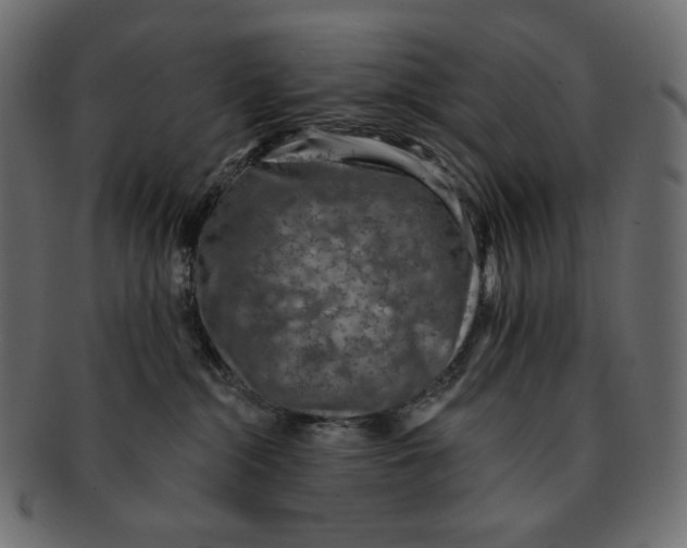 X0000091930284200710031104