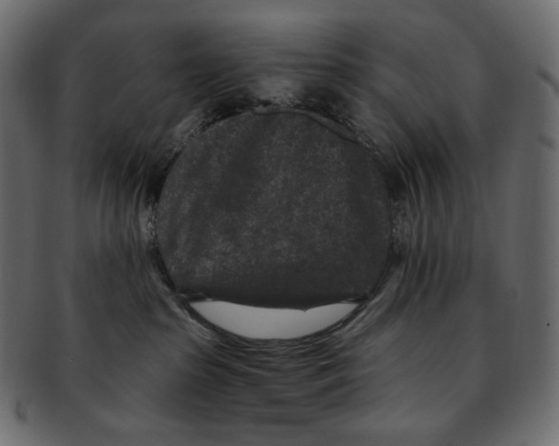 X0000091930285200710031104