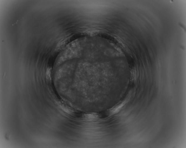 X0000091930286200710031104