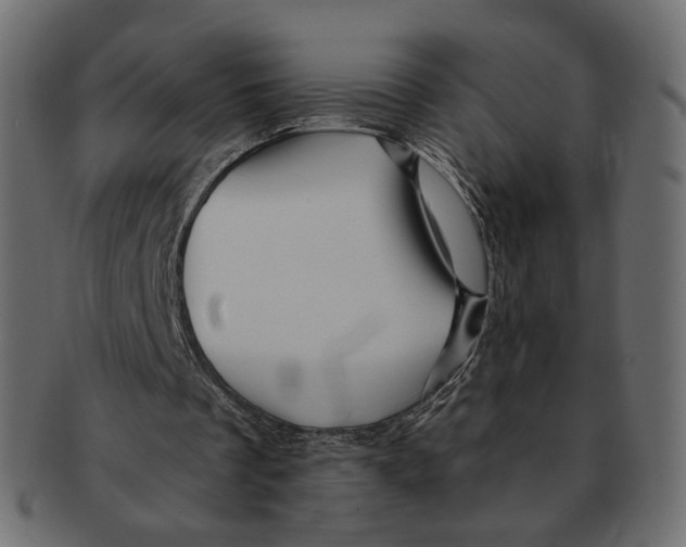 X0000091930289200710031104