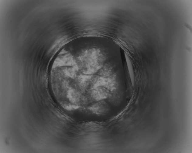 X0000091930290200710031104