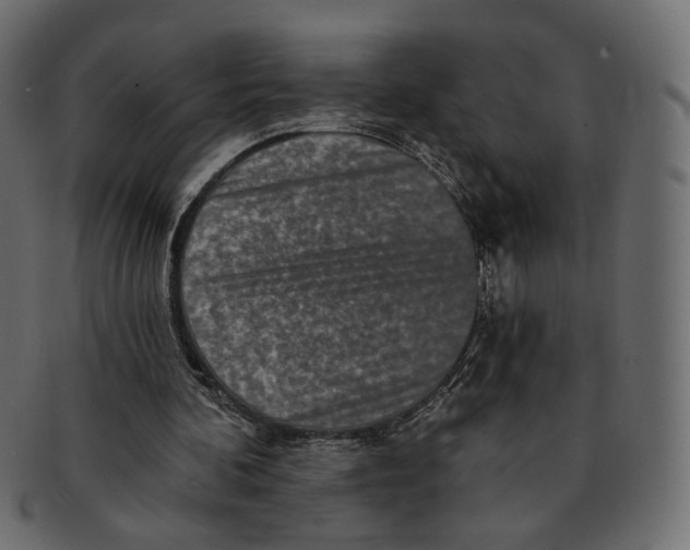 X0000091930292200710031104