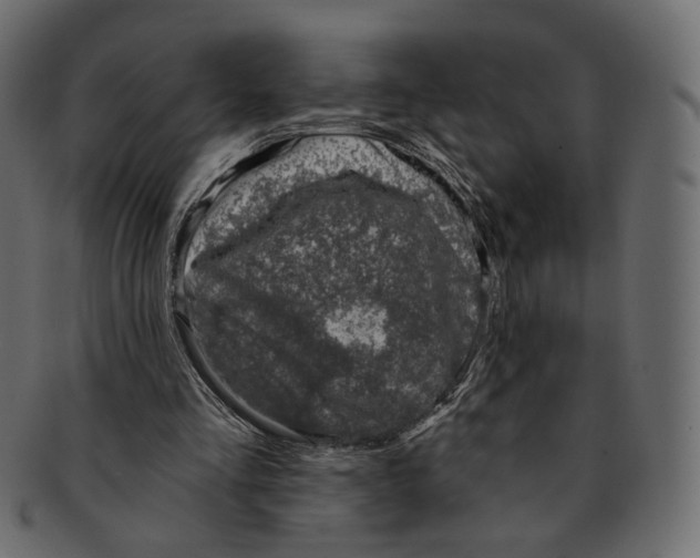 X0000091930293200710031104