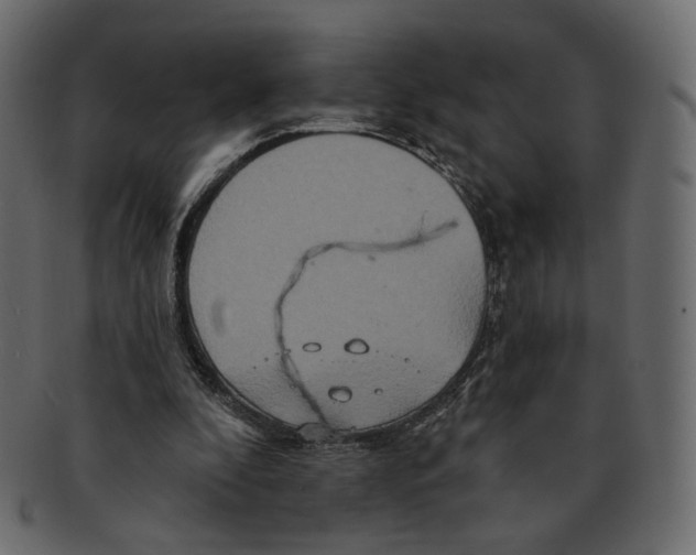 X0000091930296200710031104