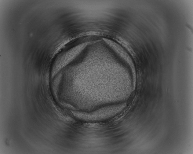 X0000091930297200710031104