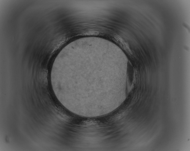 X0000091930300200710031104