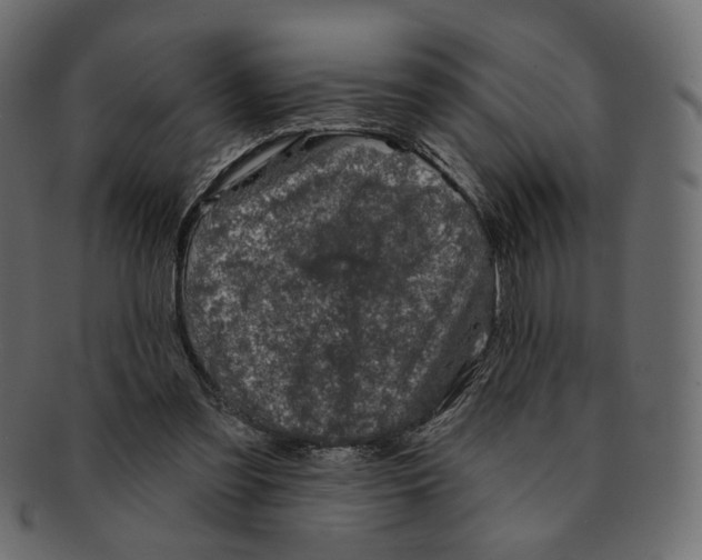 X0000091930301200710031104