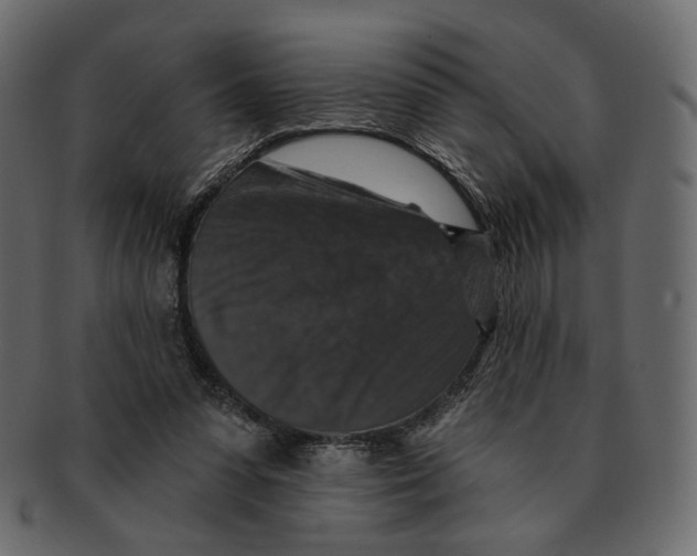 X0000091930303200710031104