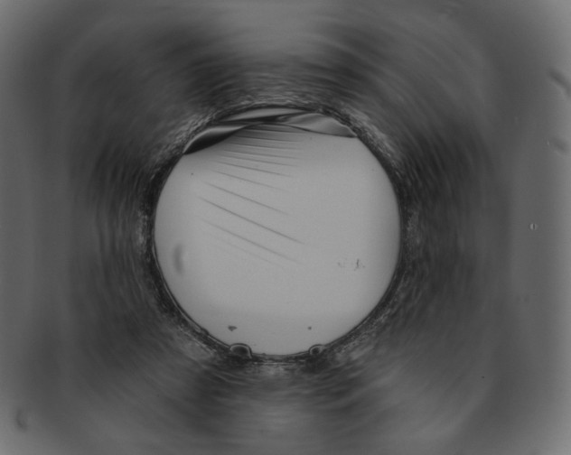 X0000091930305200710031104