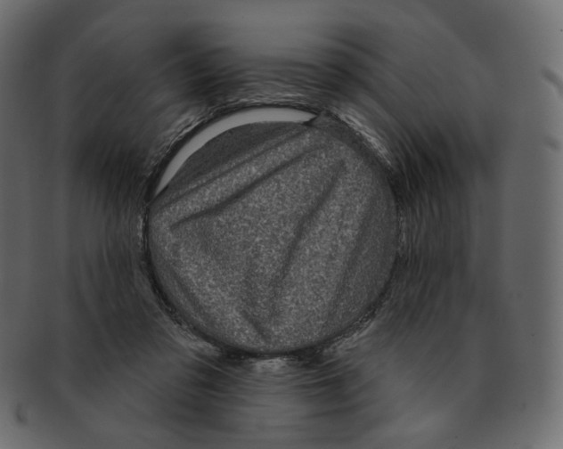 X0000091930309200710031104