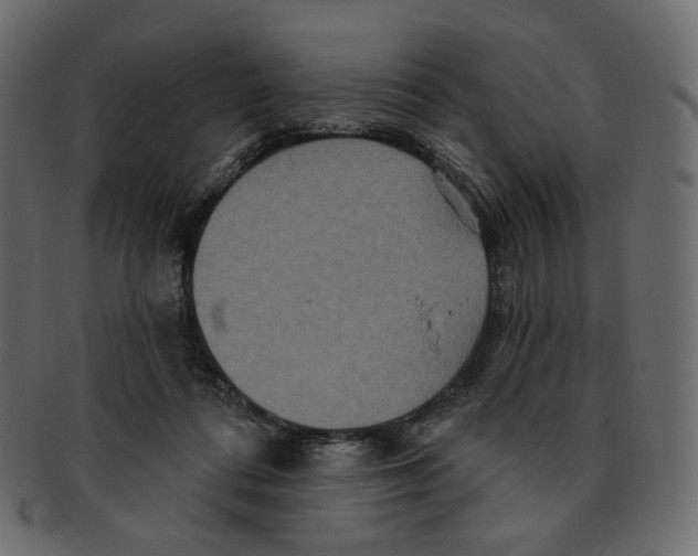 X0000091930312200710031104