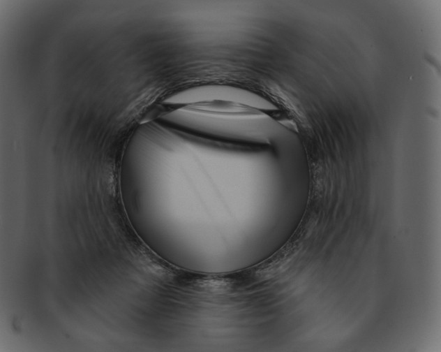 X0000091930313200710031104