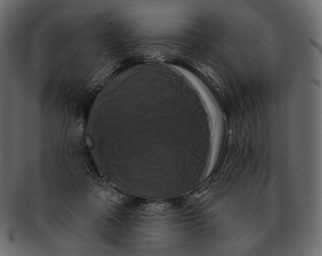 X0000091930314200710031104