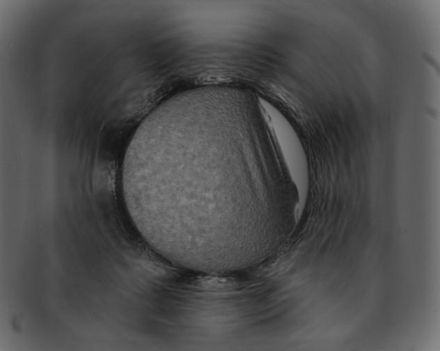 X0000091930315200710031104