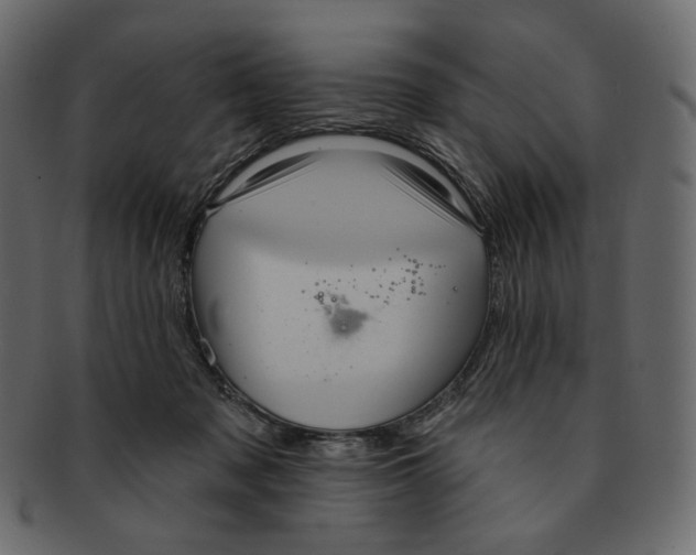 X0000091930317200710031104