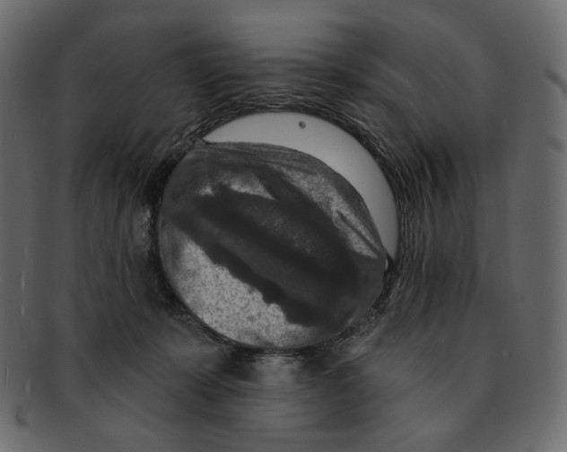 X0000091930319200710031104