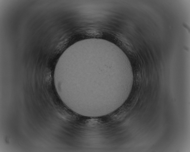 X0000091930320200710031104