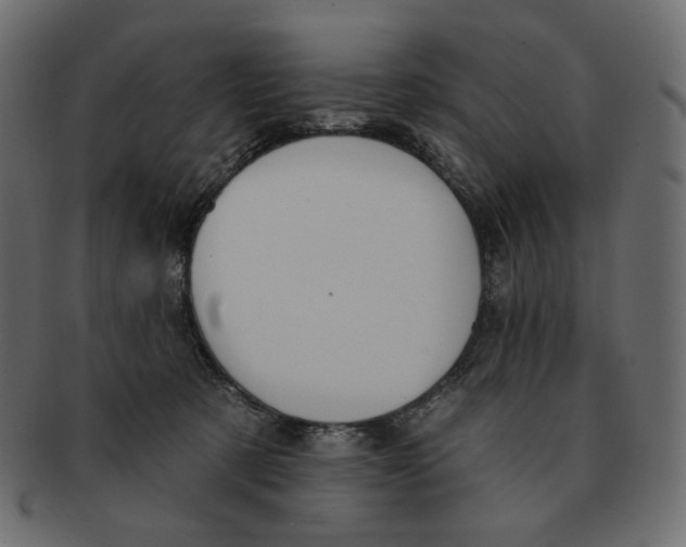 X0000091930321200710031104