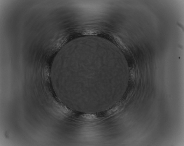 X0000091930322200710031103