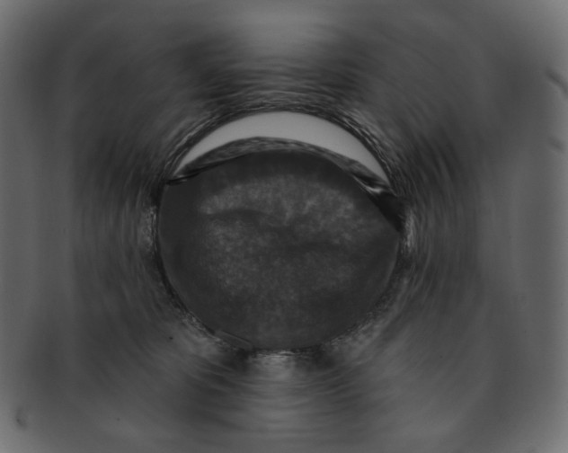 X0000091930325200710031103