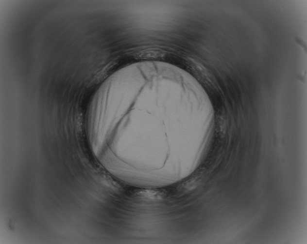 X0000091930326200710031103