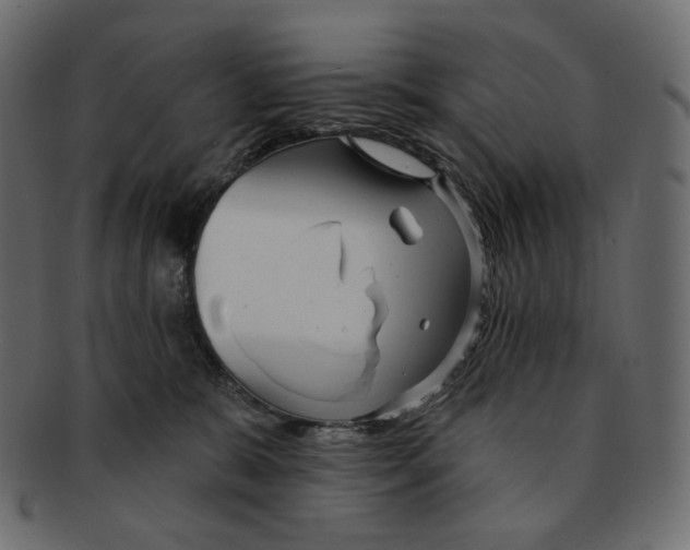 X0000091930327200710031103