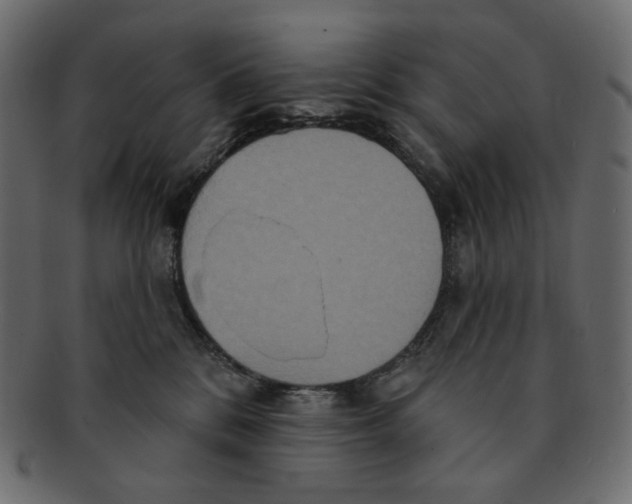 X0000091930328200710031103