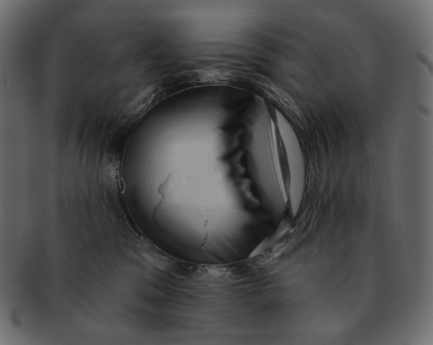 X0000091930329200710031103