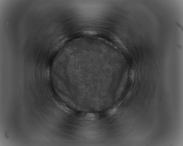 X0000091930330200710031103