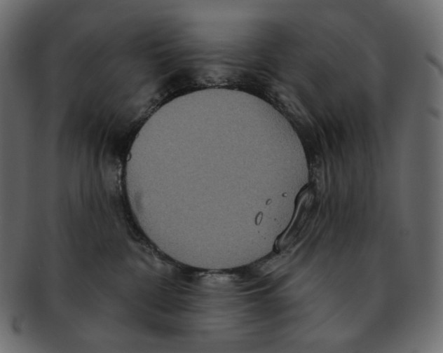 X0000091930332200710031103